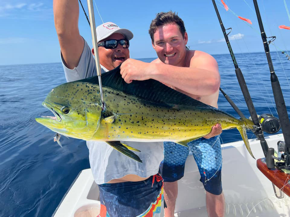 Mahi Mahi Sportfish